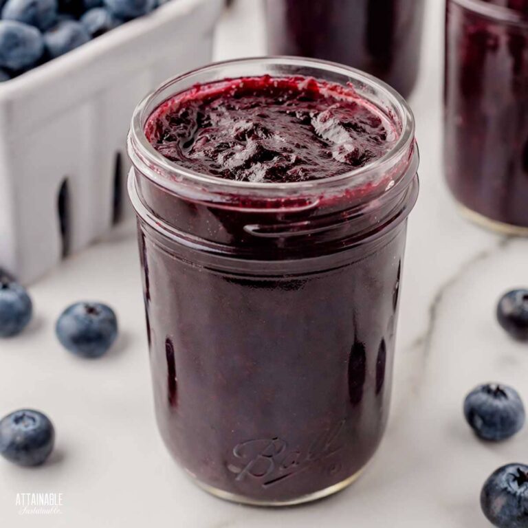 Blueberry Jam Recipe for Canning - Attainable Sustainable®