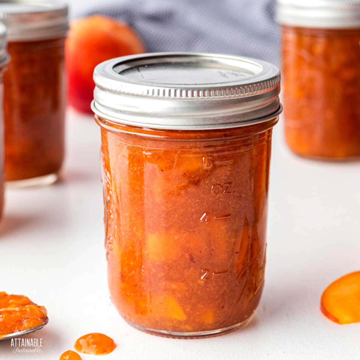 https://www.attainable-sustainable.net/wp-content/uploads/2022/10/peach-preserves-canning.jpg