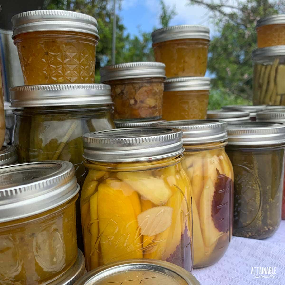 Must-Have Canning Supplies: Everything You Need to Can at Home