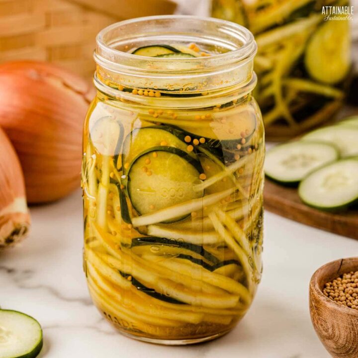 Refrigerator Bread and Butter Pickles - Attainable Sustainable®