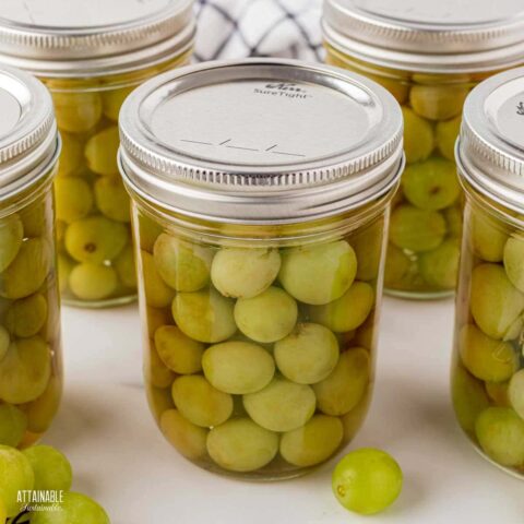 Canning Grapes: Food Preservation Made Easy - Attainable Sustainable®
