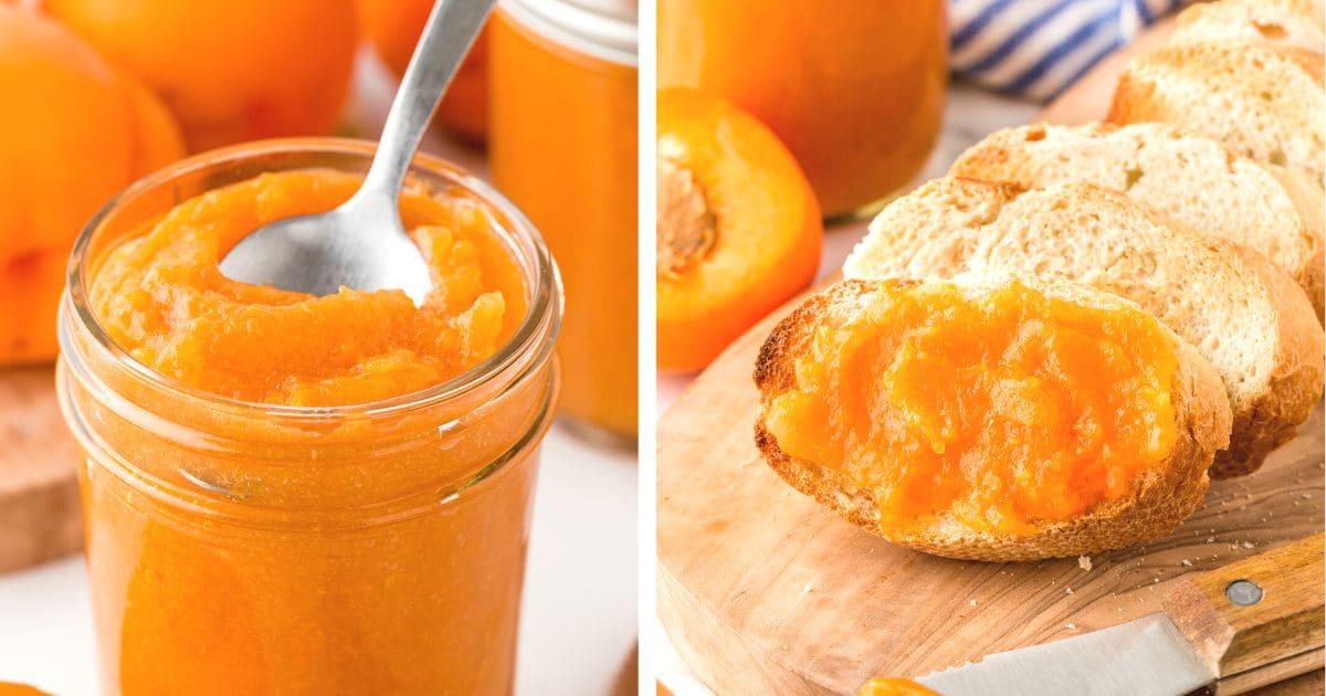 easy-lower-sugar-apricot-preserves-attainable-sustainable