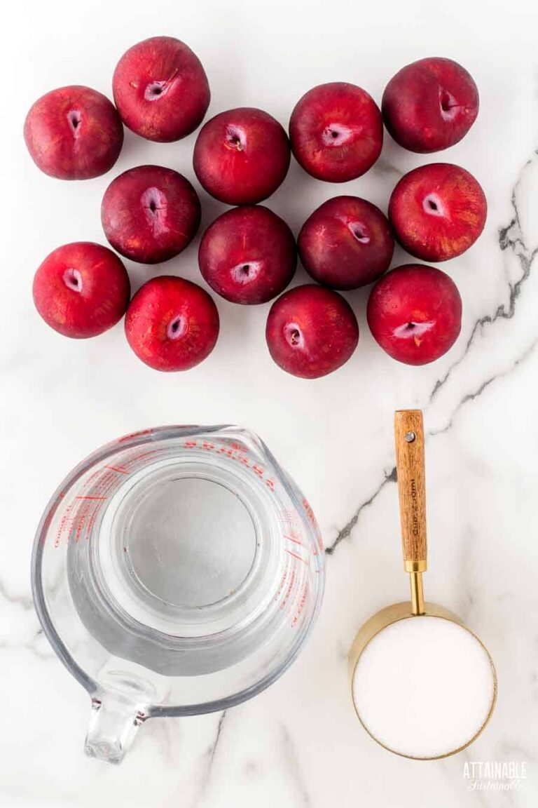 Canning Plums (Water Bath Recipe) - Attainable Sustainable®