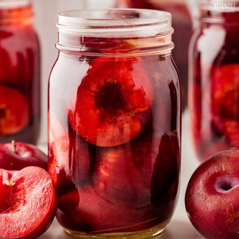 Canning Plums (Water Bath Recipe) - Attainable Sustainable®