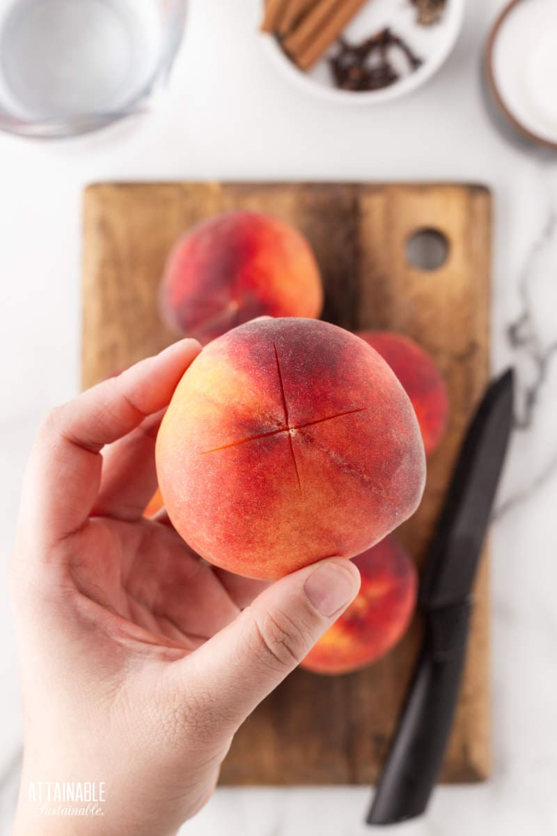 hand holding a peach with an X cut in the bottom of it.